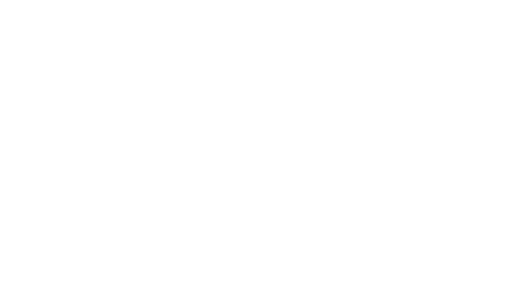 Spirits Spice logo